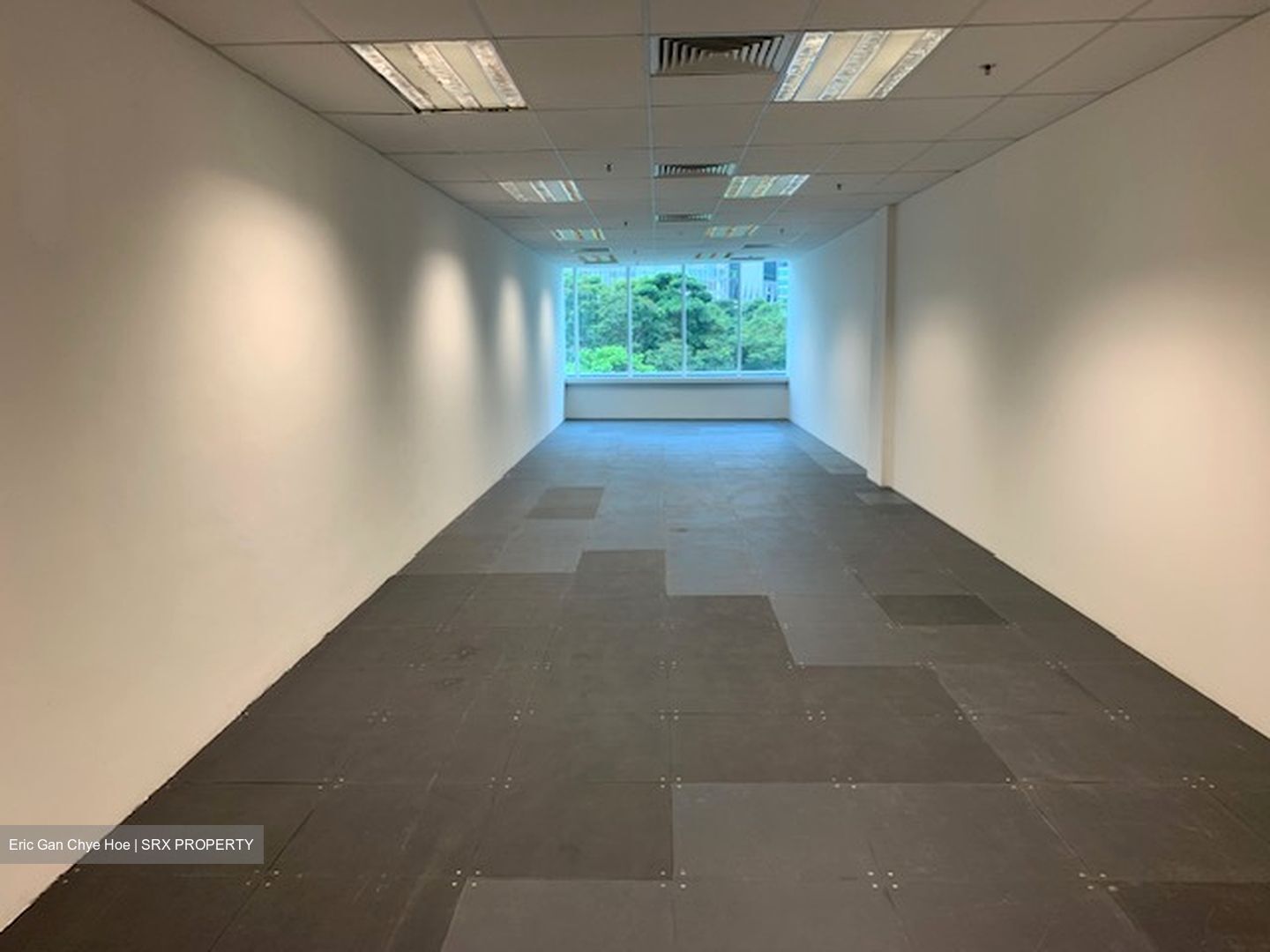 Havelock2 (D1), Office #557485301